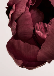 Peonia 02 By Norm Architects