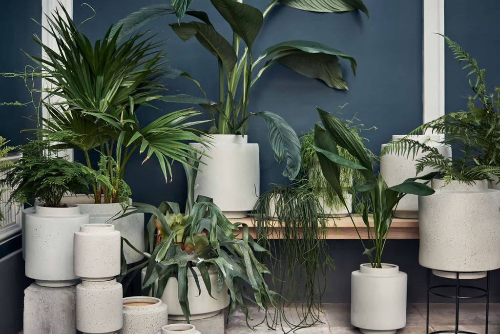 Botanique Flowerpot Ø15 x H22,5 cm