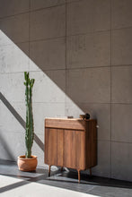 Load image into Gallery viewer, Fawn Cabinet - Walnut