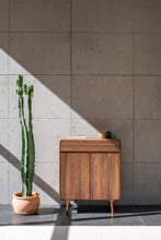 Load image into Gallery viewer, Fawn Cabinet