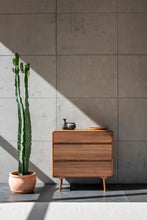 Load image into Gallery viewer, Fawn Drawer - Walnut