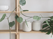 Charger l&#39;image dans la galerie, Botanique Flowerpot Ø15 x H22,5 cm