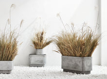 Load image into Gallery viewer, Highlands Planter 42 x 56 x H38 cm