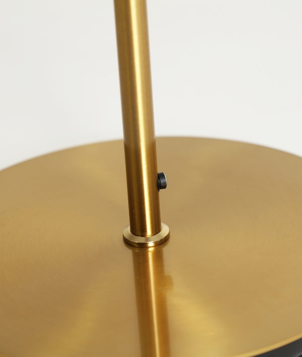 Detva Burgundy Glass & Golden Iron Floor Lamp