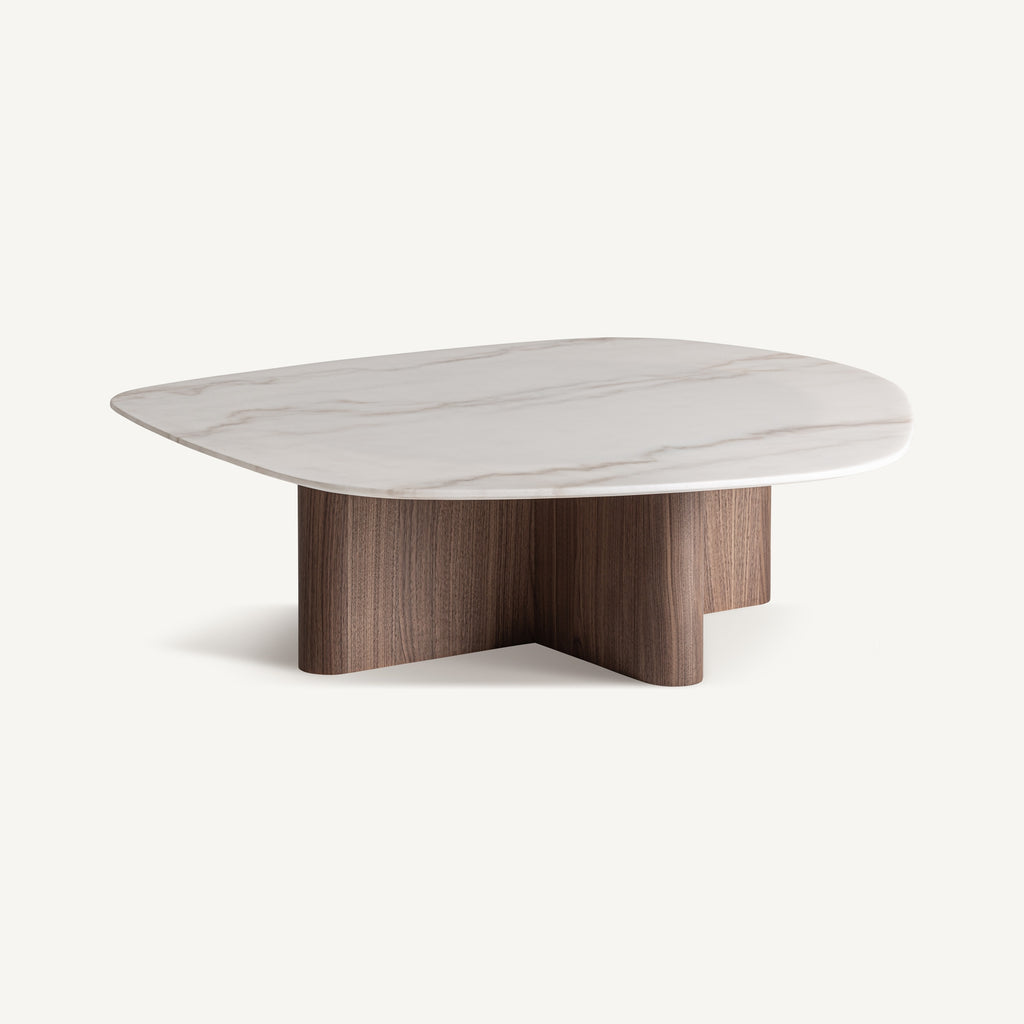 Ocane coffee table