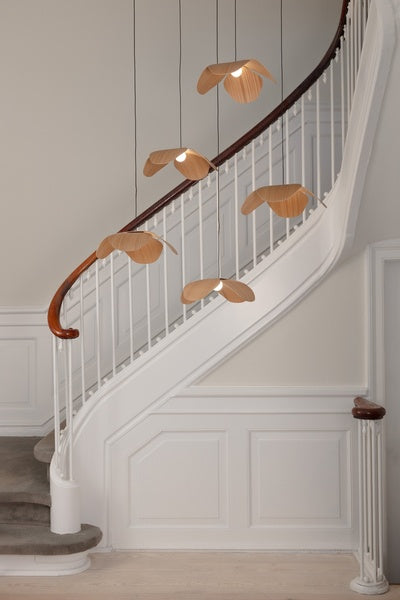 Forget Me Not lifestyle photo