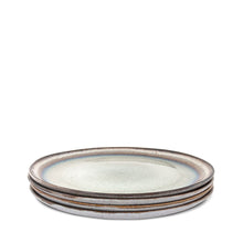 Load image into Gallery viewer, Dinner Plate set of 4