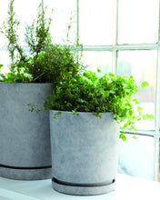 Load image into Gallery viewer, Planter w. tray, Hook, Light grey