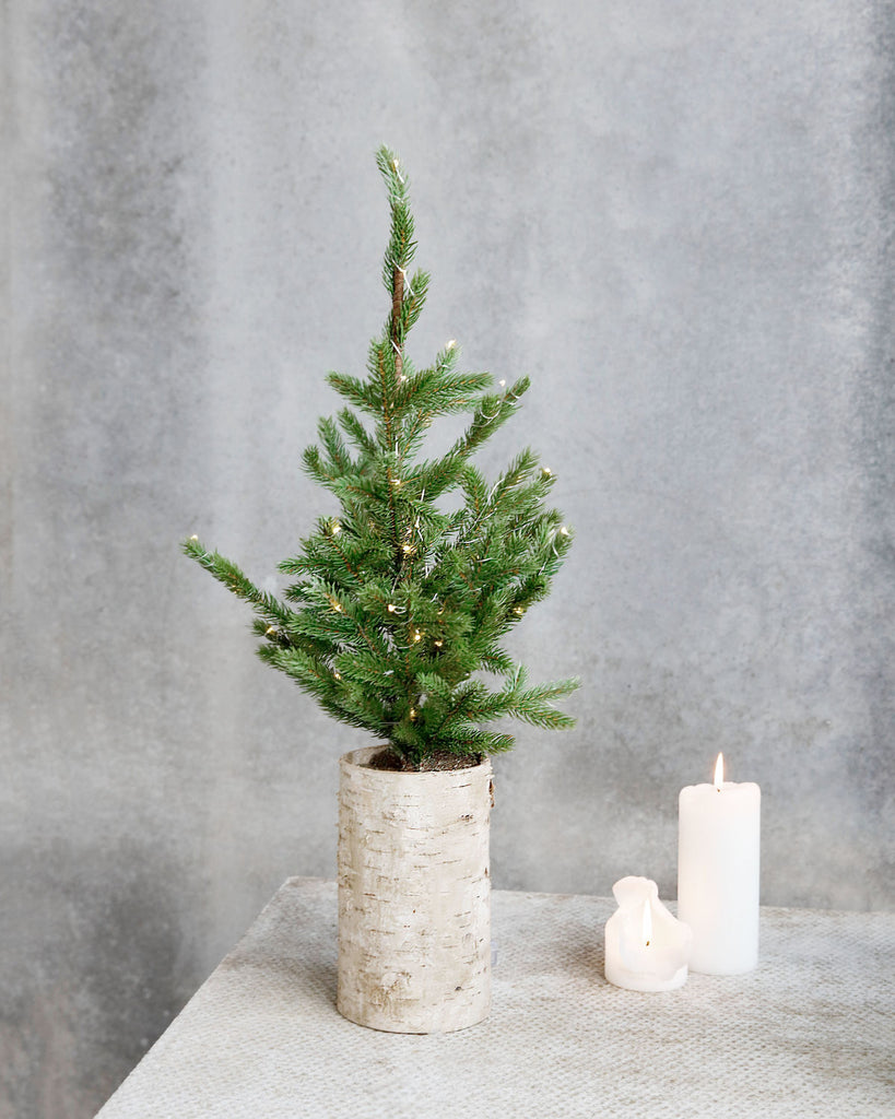 Christmas tree with light, Wooden base 3 sizes