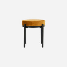 Load image into Gallery viewer, Low Stool with velvet seat