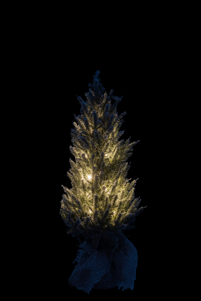 Christmas Tree, Led with Pot Jute Plastic Snowy Green Medium