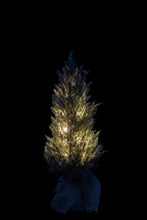 Load image into Gallery viewer, Christmas Tree, Led with Pot Jute Plastic Snowy Green Medium