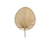 Load image into Gallery viewer, PALM LEAF FAN WALL DECOR 29X42CM