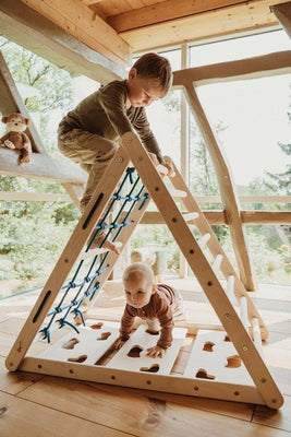 ORANGUTAN - CLIMBING TRIANGLE (87CM) WITH NET, RUNG AND CLIMBING SIDE
