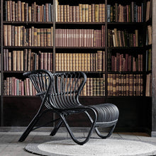 Load image into Gallery viewer, Fox Lounge Chair