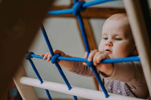 Load image into Gallery viewer, ORANGUTAN - CLIMBING TRIANGLE (87CM) WITH NET, RUNG AND CLIMBING SIDE