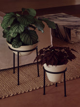 Charger l&#39;image dans la galerie, Daiza Planter