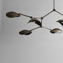 Carica l&#39;immagine nel visualizzatore di Gallery, Stingray Chandelier - Bronze