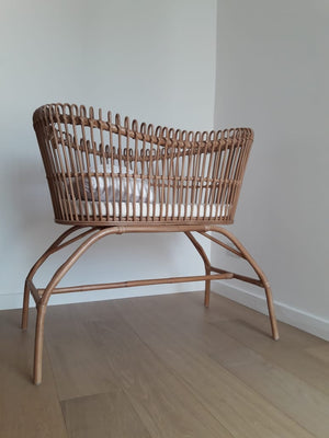 Bassinet with mattress