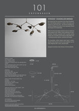 Carica l&#39;immagine nel visualizzatore di Gallery, Stingray Chandelier - Bronze