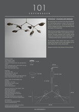 Load image into Gallery viewer, Stingray Chandelier - Bronze