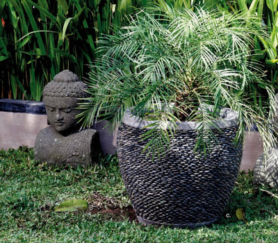 BLACK STONE POT