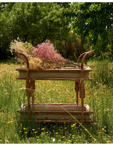 Rattan serving trolley table 70x43 cm