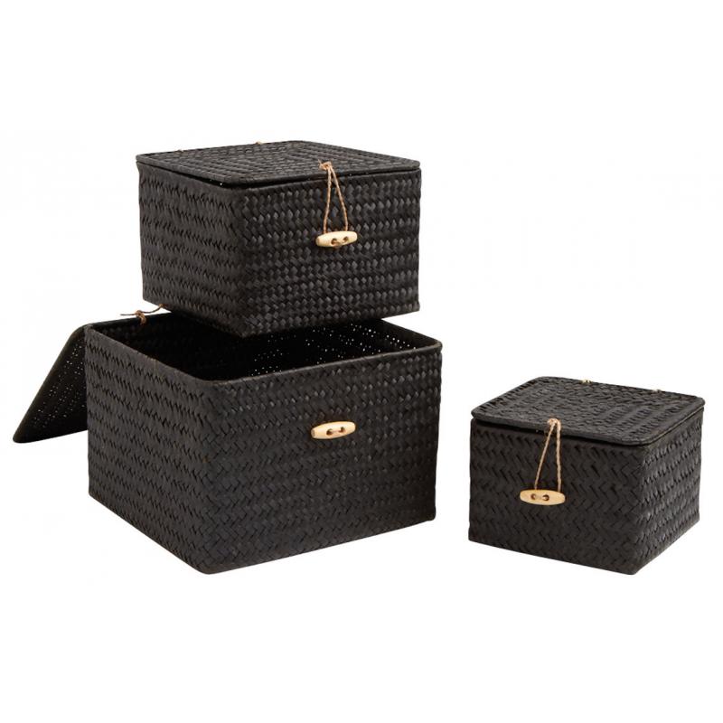 Palm leaf boxes