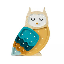 Load image into Gallery viewer, Little Lights Owl Lamp